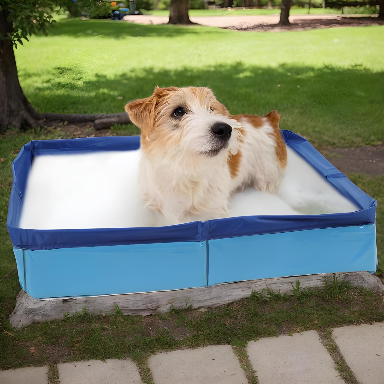 Piscina pieghevole in PVC 50x5 - Kids Toys Deals recensione e prezzo